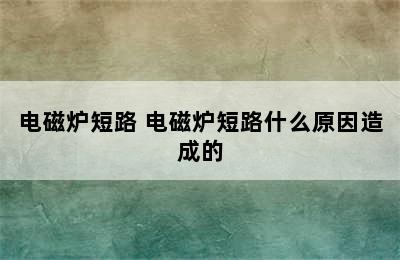 电磁炉短路 电磁炉短路什么原因造成的